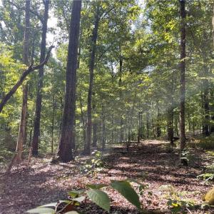 Photo #10 of 4736 Main, Winston-Salem, NC 22.0 acres