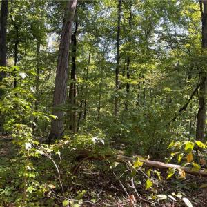 Photo #11 of 4736 Main, Winston-Salem, NC 22.0 acres