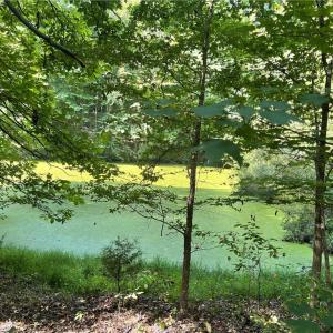 Photo #8 of 4736 Main, Winston-Salem, NC 22.0 acres