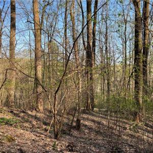 Photo #3 of TBD North Ledge, Fancy Gap, VA 0.3 acres
