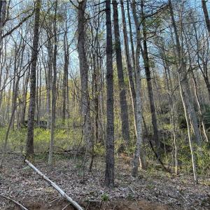 Photo #1 of TBD Briar Rock, Fancy Gap, VA 0.3 acres