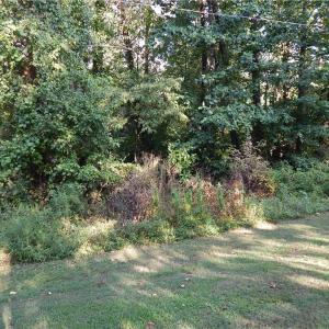 Photo #2 of Leslie, Winston-Salem, NC 0.5 acres