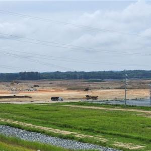 Photo #6 of 7025 Old 421, Liberty, NC 41.0 acres