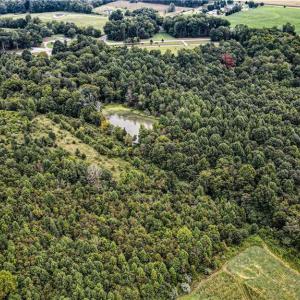 Photo #3 of 7025 Old 421, Liberty, NC 41.0 acres