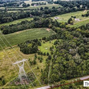 Photo #5 of 7025 Old 421, Liberty, NC 41.0 acres
