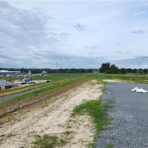 Photo #10 of 7025 Old 421, Liberty, NC 41.0 acres
