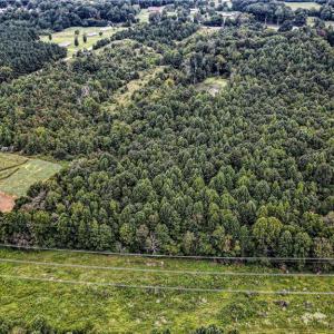 Photo #4 of 7025 Old 421, Liberty, NC 41.0 acres