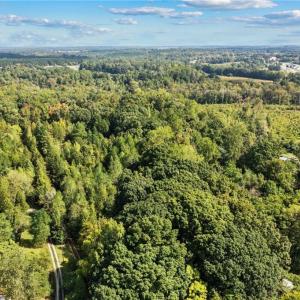 Photo #10 of Haden Grove Church, Linwood, NC 26.2 acres