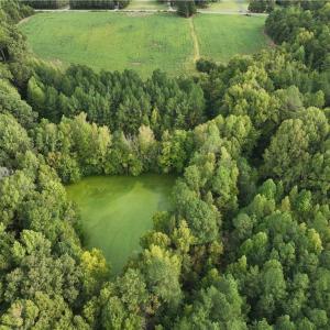 Photo #12 of 2360, 2372 Alamance Church, Greensboro, NC 43.1 acres