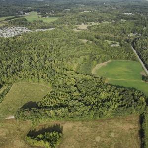 Photo #6 of 2360, 2372 Alamance Church, Greensboro, NC 43.1 acres