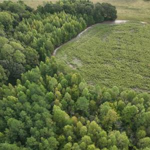 Photo #13 of 2360, 2372 Alamance Church, Greensboro, NC 43.1 acres