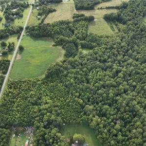 Photo #9 of 2360, 2372 Alamance Church, Greensboro, NC 43.1 acres