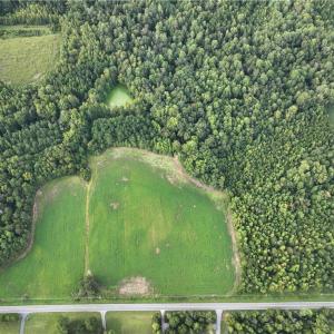 Photo #11 of 2360, 2372 Alamance Church, Greensboro, NC 43.1 acres