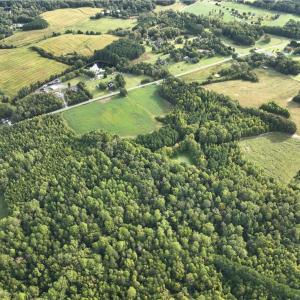 Photo #8 of 2360, 2372 Alamance Church, Greensboro, NC 43.1 acres