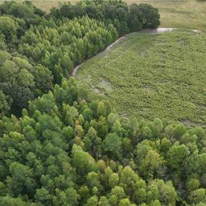 Photo #13 of 2360, 2372 Alamance Church, Greensboro, NC 43.1 acres