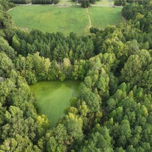 Photo #12 of 2360, 2372 Alamance Church, Greensboro, NC 43.1 acres