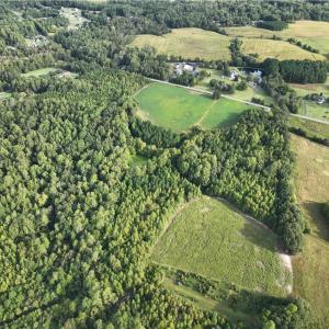 Photo #7 of 2360, 2372 Alamance Church, Greensboro, NC 43.1 acres