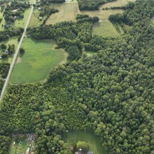 Photo #9 of 2360, 2372 Alamance Church, Greensboro, NC 43.1 acres