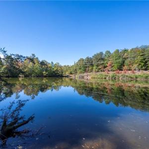 Photo #17 of 01 Turner, Mayodan, NC 37.4 acres