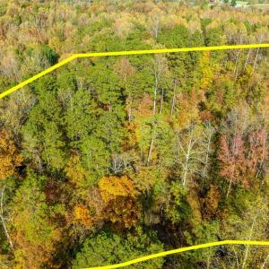Photo #3 of 135 Drama, Snow Camp, NC 4.8 acres