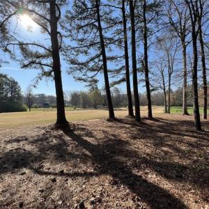 View of Golf Course