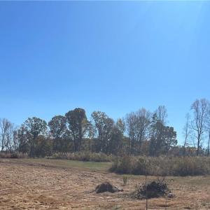 Photo #4 of 460 Grubb, Lexington, NC 3.0 acres