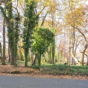 Photo #1 of 2107 Granville, Greensboro, NC 0.4 acres
