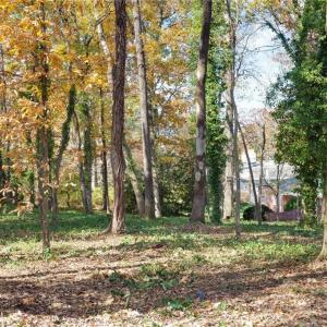Photo #4 of 2107 Granville, Greensboro, NC 0.4 acres