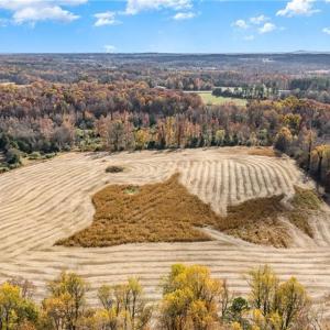 Photo #7 of Starmount, Liberty, NC 31.4 acres