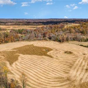 Photo #10 of Starmount, Liberty, NC 31.4 acres