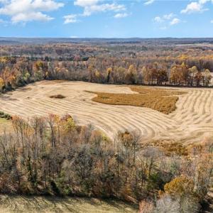 Photo #6 of Starmount, Liberty, NC 31.4 acres