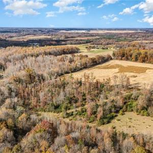 Photo #3 of Starmount, Liberty, NC 31.4 acres