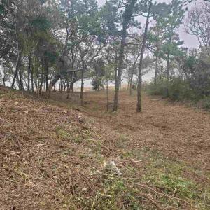 Photo #4 of Willett Tillett Road, Manteo, NC 0.9 acres