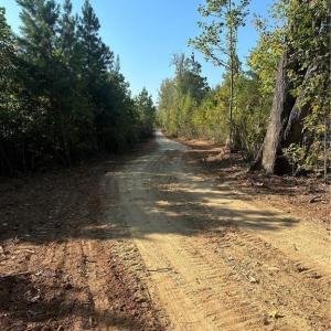 Photo #1 of 916 Paschal, Yanceyville, NC 12.4 acres
