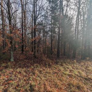 Photo #4 of 200 Bowers, Thomasville, NC 3.0 acres