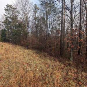 Photo #6 of 255 Bowers, Thomasville, NC 2.3 acres