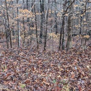 Photo #5 of 255 Bowers, Thomasville, NC 2.3 acres