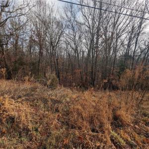 Photo #9 of 255 Bowers, Thomasville, NC 2.3 acres