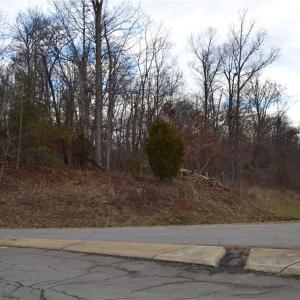 Photo #6 of Twin Springs, Stoneville, NC 6.1 acres