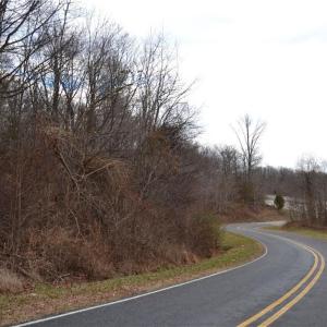 Photo #4 of Twin Springs, Stoneville, NC 6.1 acres