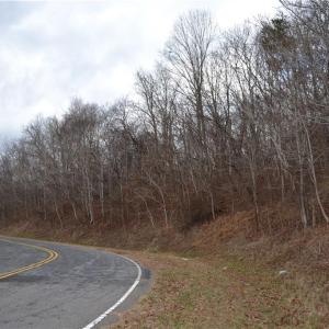 Photo #8 of Twin Springs, Stoneville, NC 6.1 acres