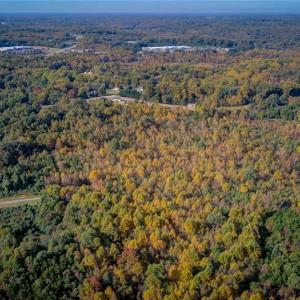 Photo #2 of US Highway 29 Bus, Reidsville, NC 15.0 acres