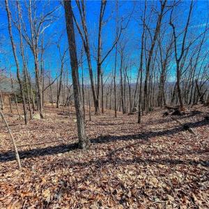 Photo #6 of 1116 Sierra Trace, Denton, NC 4.7 acres