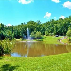 Photo #13 of 1116 Sierra Trace, Denton, NC 4.7 acres
