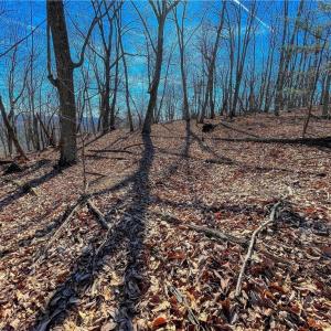 Photo #7 of 1116 Sierra Trace, Denton, NC 4.7 acres