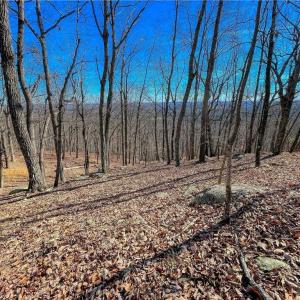 Photo #9 of 1116 Sierra Trace, Denton, NC 4.7 acres