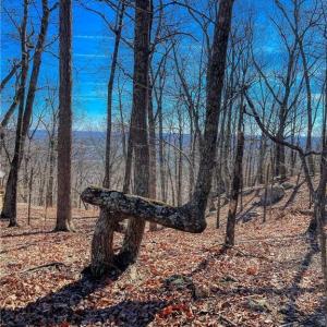 Photo #10 of 1116 Sierra Trace, Denton, NC 4.7 acres