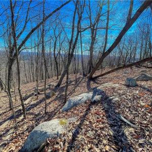 Photo #8 of 1116 Sierra Trace, Denton, NC 4.7 acres