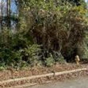Photo #2 of TBD Miller, Salisbury, NC 0.2 acres