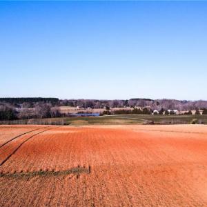 Photo #23 of 8306 Meadow Green, Browns Summit, NC 137.0 acres